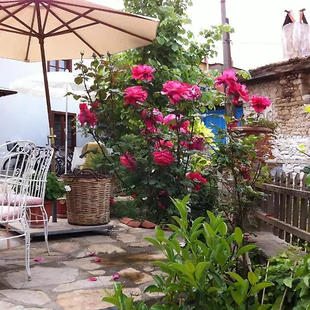 Affittacamere Collage House *